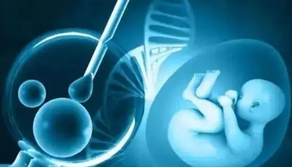 供卵代怀生男宝代生包成功